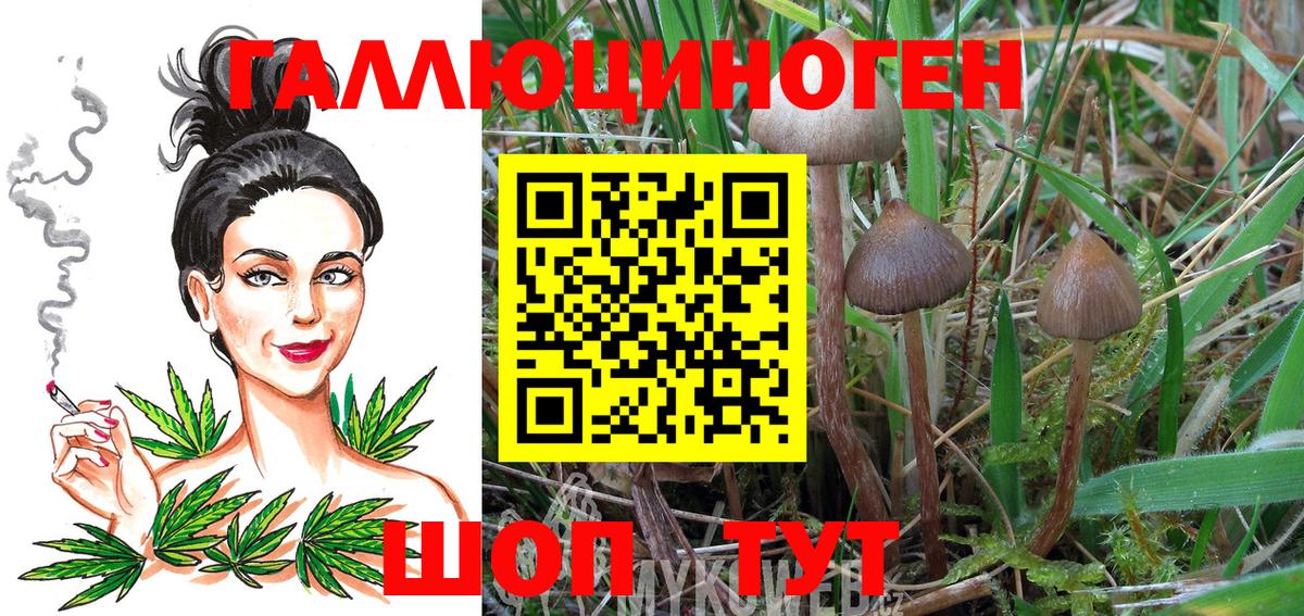 Горячий Ключ  Галлюциногенные грибы мицелий  Псилоцибиновые грибы ЛСД  Вход с VPN 